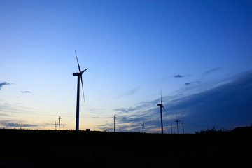 Wind turbines in the evening