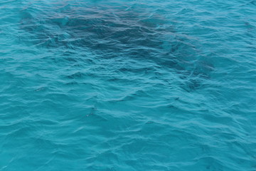 Fototapeta na wymiar transparent pale blue azure water in the sea