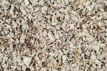 Wood sawdust texture for background. Top view.