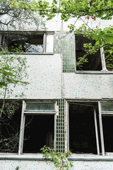 selective focus of abandoned building near green trees in chernobyl