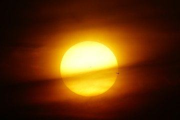 sunset with solar disk pierced by birds in flight