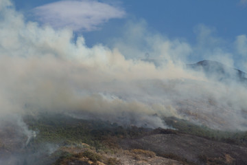Helicopter wild fire
