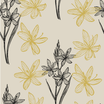 Kafir Lilies flowers. Collection of hand drawn flowers and plants. Botany. Set. Vintage flowers. Black and white illustration in the style of engravings. Seamless pattern