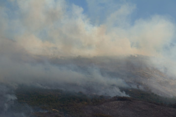 Helicopter wild fire