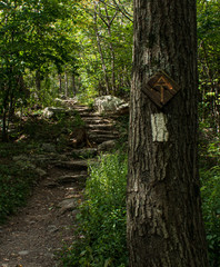 Appalachian Trail