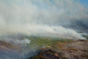 Helicopter wild fire