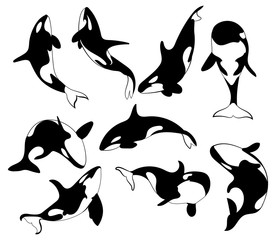 Set of killer whales. Collection of stylized orca whale. Black white vector illustration of sea predatory fish. Tattoo. - obrazy, fototapety, plakaty