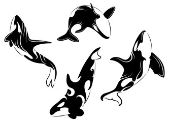 Set of killer whales. Collection of stylized orca whale. Black white vector illustration of sea predatory fish. Tattoo. © Igor