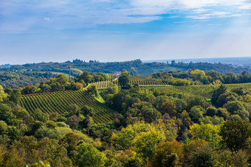 Fototapeta na wymiar Vineyards in Valdobbiadene