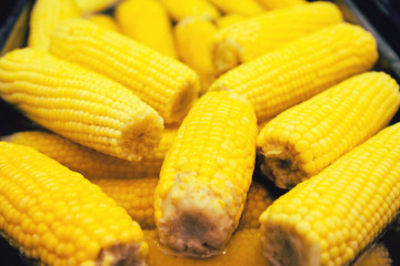 Fresh boiled yellow corn in the street market. Food to go. Tasty take away snack suitable for vegeterians and vegans