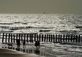 family walk on the beach at sunset