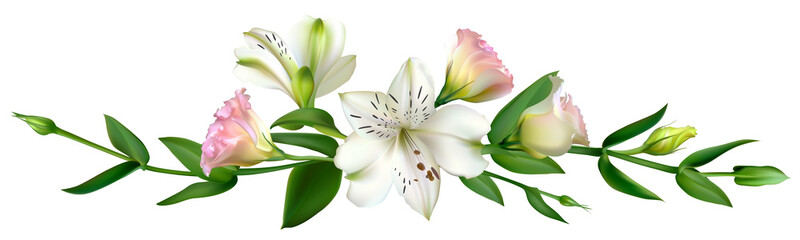 White flowers. Floral background. Green leaves. Eustoma. Lilies.