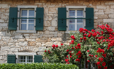 Fototapeta na wymiar Typical country house villa in Istria, Croatia