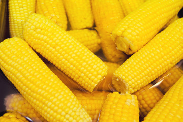 Fresh boiled yellow corn in the street market. Food to go. Tasty take away snack suitable for vegeterians and vegans