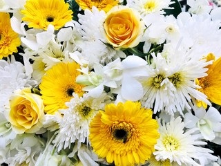 bouquet of flowers