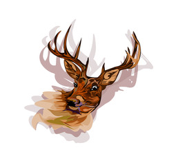 Deer head vector illustration colorful isolated on white background