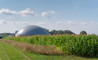 Biogasanlage im Maisfeld