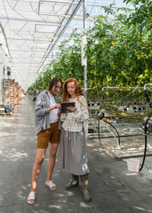 Couple of workers working with digital tablet supervising the growing of plants in the greenhouse...
