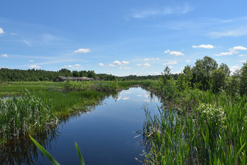 Fototapeta na wymiar Blue river in the middle of the field