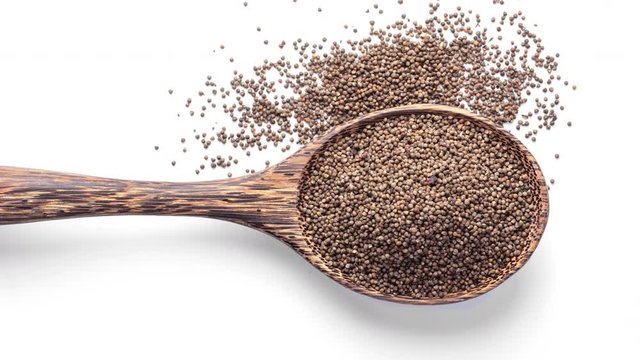 panning Perilla herb seed in wood spoon isolated on white background. top view