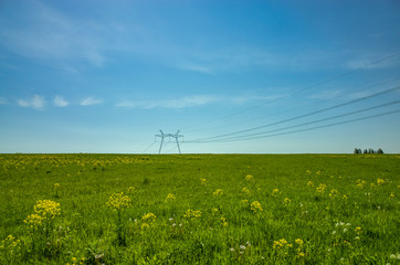Grassy meadows and forest on the horizon. Spring landscape. Blue sky and high voltage power line