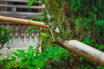 Bamboo water pipes in a Japanese garden