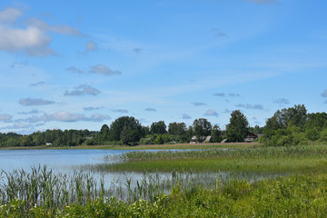 Village summer landscape, lake and houses