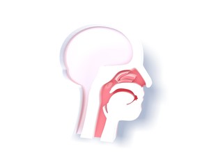 3D illustration of white human head with shadow. Showing the anatomical interior, ENT and the brain.