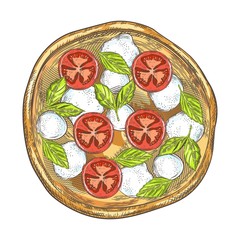 Pizza with tomatoes, cheese and basil. Vintage graphics.