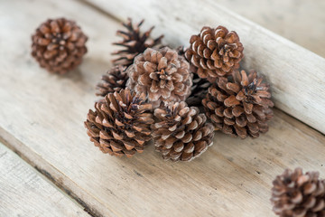 pine cone  on wooden background and copy space for your design