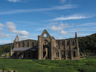 Fototapeta na wymiar Tintern Abbey (Abaty Tyndyrn) in Tintern