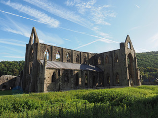 Tintern Abbey (Abaty Tyndyrn) in Tintern