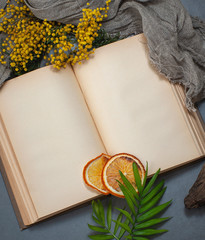 An open book with old blank pages and floral decorations. Background image with place for text.