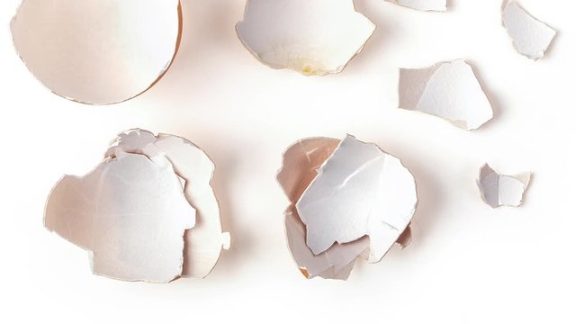 panning egg shell isolated on white background. Top view