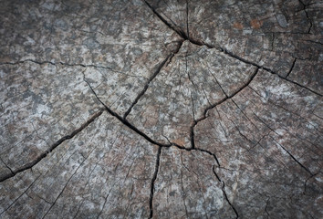 Obraz premium cracked wood texture. wood and moutain background.