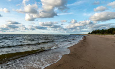 seascape image of the sea with  stones and grass of light before sunset,  quiet sea. baltic sea, Tuja beatch, Latvia