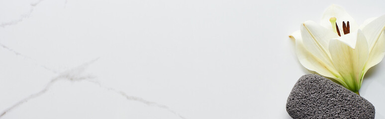 panoramic shot of white flower and dark gray pumice stone on marble surface