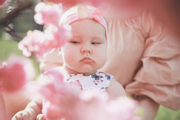 Close up portrait of cute serious little funny caucasian baby girl in a dress with butterflies sitting on mother's hands, near a blooming sakura tree in a park in spring.