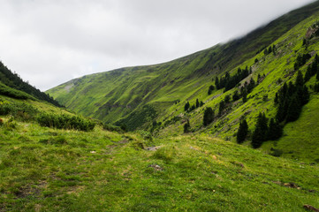 Vallée verte, Pyrénées