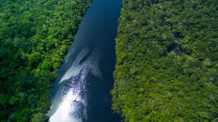 Naklejka na ściany i meble Amazon river in Brazil 