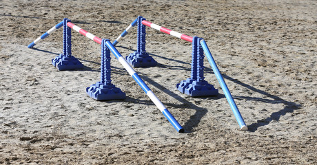 Various colorful obstacles for equestrian training