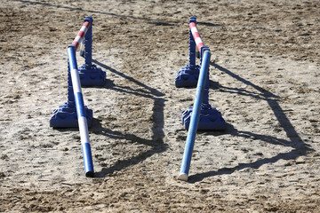 Various colorful obstacles for equestrian training