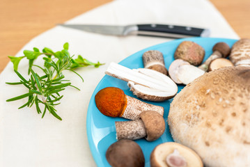 Selection of edible mushrooms in the raw state on a blue glossy plate