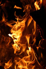 fire on black background