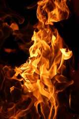 fire on black background