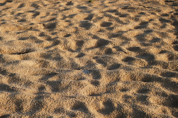 Rough golden sand hills texture on the beach