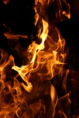 fire on black background