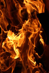 fire on black background