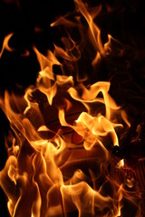 fire on black background