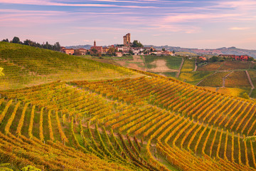 Serralunga d'Alba, Piemonte, Italia